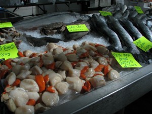 Huge Scallops at Belfast Market